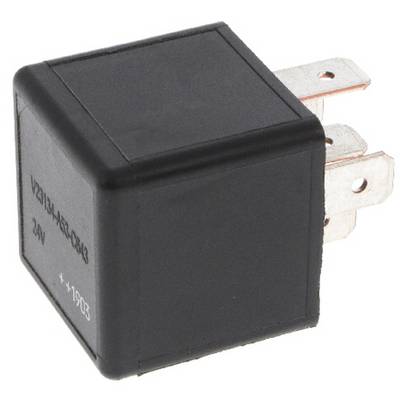 Ein schwarzes elektrisches Relais mit Metallkontakten, von der Seite gezeigt. Es ist mit „24V" gekennzeichnet, was seine Spannungsnennleistung angibt.