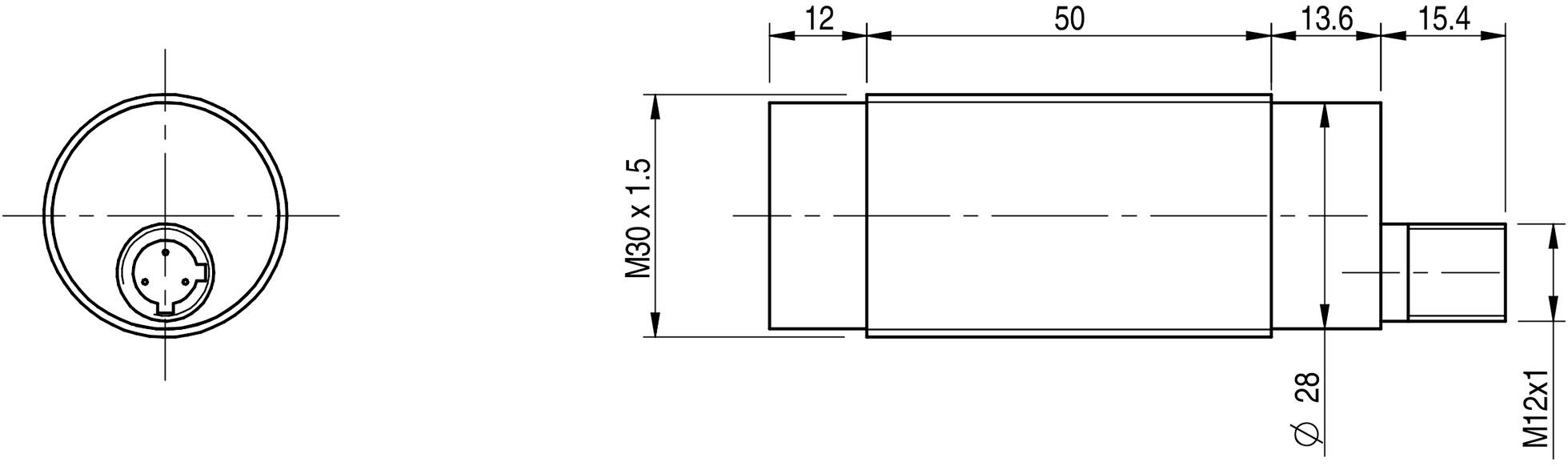 Technische Zeichnung eines zylindrischen Teils mit Maßeinheiten: Durchmesser 28 mm, Länge 113,6 mm, Gewinde M30 x 1,5 und M12 x 1.