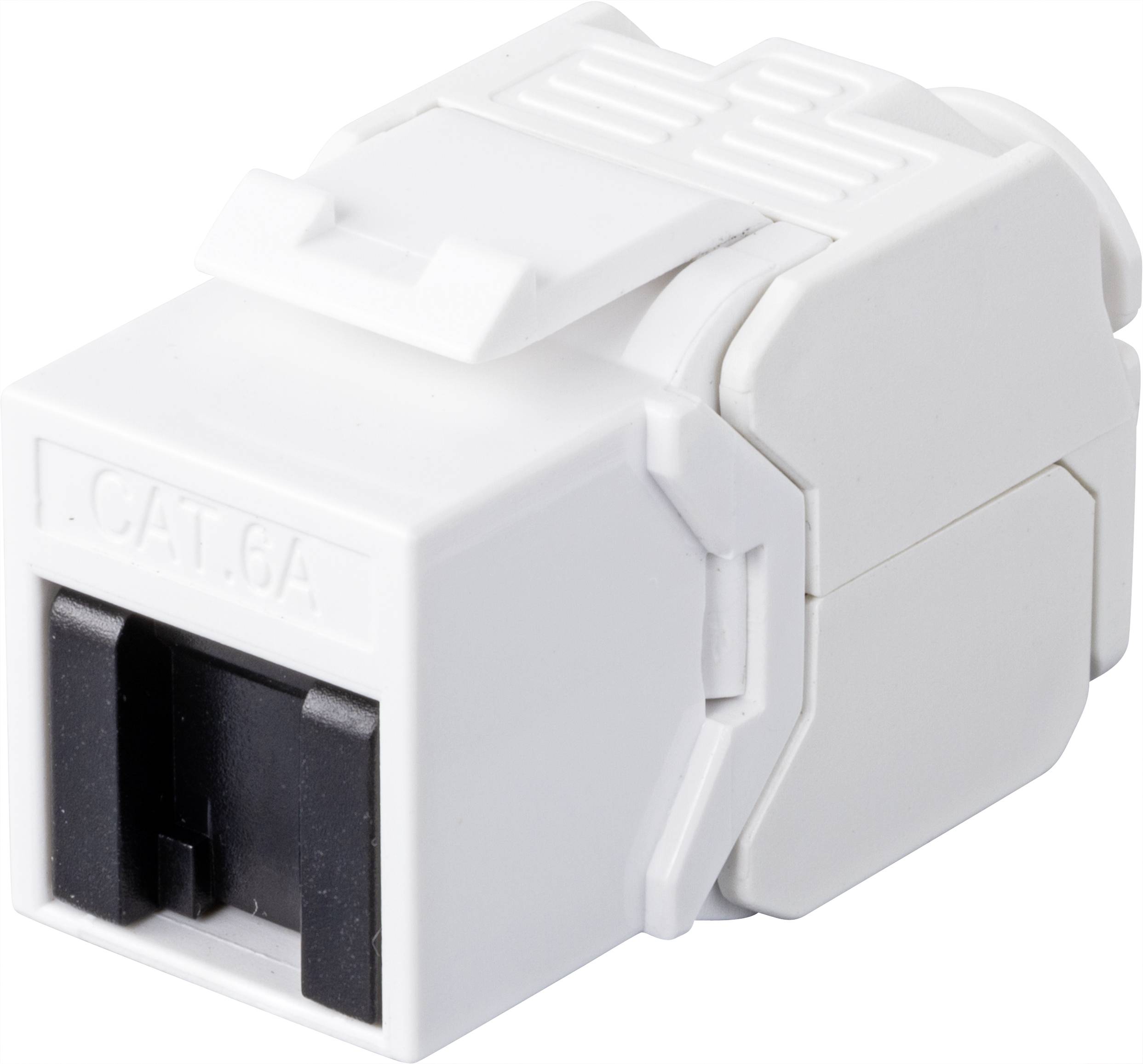 Renkforce RJ45-Einbaumodul Keystone CAT 6a 1 St.