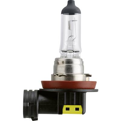 Eine einzeln stehende Halogen-Autolampe mit klarer Glühbirne und schwarzer Kunststofffassung, seitlich fotografiert.