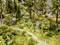 Ein Miniatur-Diorama zeigt einen Wald mit einem Hochsitz in der Nähe eines kleinen Weges, umgeben von Bäumen und Sträuchern.
