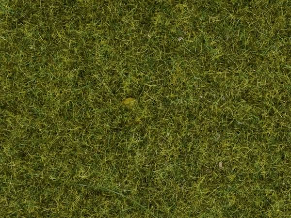 NOCH 07117 Wildgras  Beige, Braun