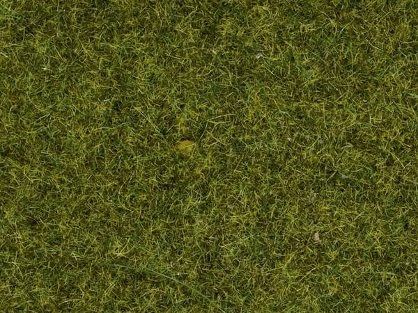 NOCH 0008361 Streugras  Wiese 4 mm, 20 g