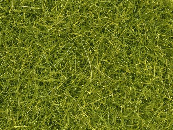 NOCH 0008363 Streugras  Hellgrün 4 mm, 20 g