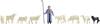 NOCH TT Schafe und Schäfer Bemalt, Stehend