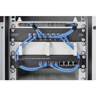Netzwerk-Switch im Schrank zeigt acht angeschlossene blaue Ethernet-Kabel. Beschriftung lautet '8 Port 10/100/1000 Mbps Gigabit Switch'.