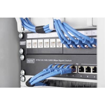 'Nahaufnahme eines Netzwerk-Switches mit blauen Ethernet-Kabeln verbunden. Ports sind nummeriert, die Schalterkapazität beträgt bis zu 1000 Mbps.'