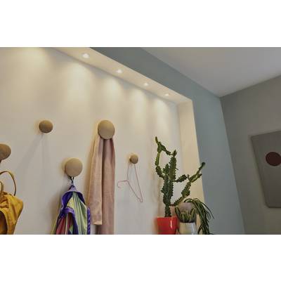 Wand mit runden Holzhaken, an denen bunte Kleidung hängt; daneben stehen Pflanzen in Töpfen, beleuchtet durch Deckenstrahler.