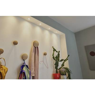 Wand mit Holzhaken: An zwei Haken hängen bunte Kleidung, an einem dritten ein Drahtkleiderbügel. Rechts zwei Pflanzen, eine in Rottopf.