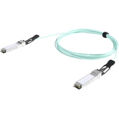 Lichtwellenleiterkabel mit zwei QSFP-Verbindern zum Hochgeschwindigkeitsdatenübertragungsnetzwerk.