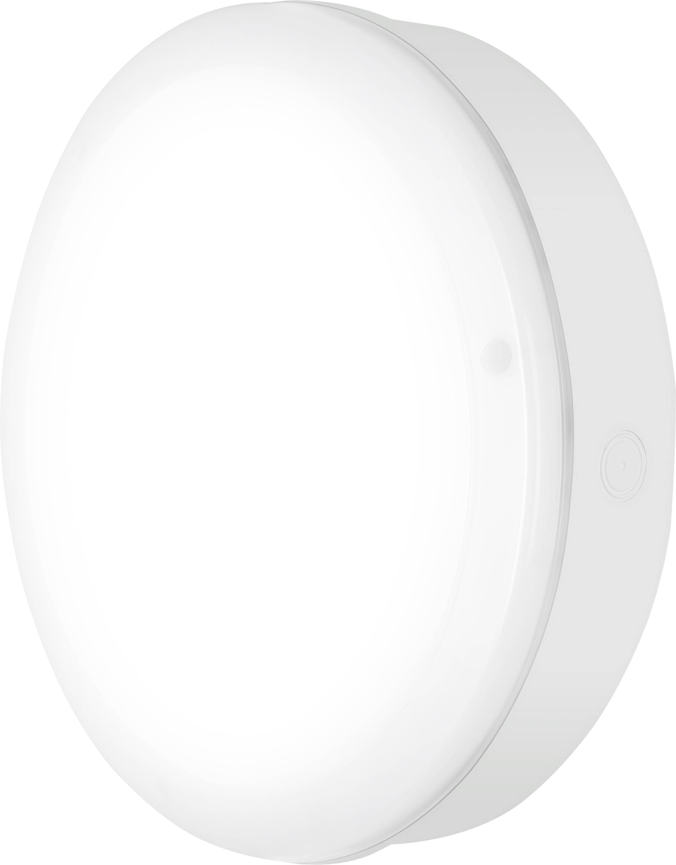 LEDVANCE Surface Bulkhead 82671 LE LED-Außendeckenleuchte, LED-Außenwandleuchte 10 W Weiß