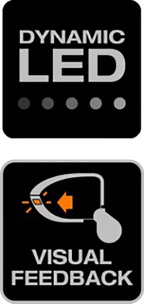 'Dynamic LED' mit Punkteanzeige; darunter ein Symbol eines Seitenspiegels mit Pfeil, beschriftet 'Visual Feedback'.