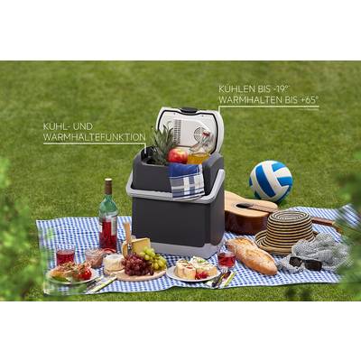 Kühltasche auf einer Picknickdecke im Park, gefüllt mit Essen und Getränken. Im Hintergrund ein Volleyball und eine Gitarre.