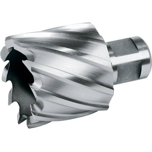 RUKO 108220E Kernlochbohrer 20 mm 1 St.