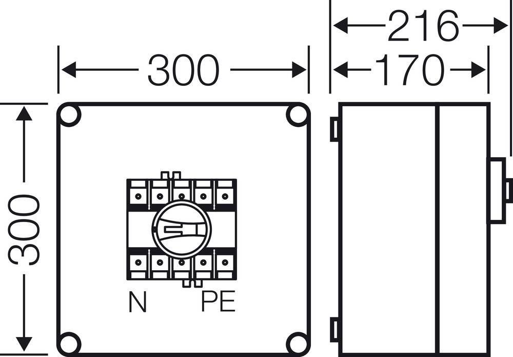 Abbildung eines elektrischen Anschlusskastens mit Maßen: Höhe 300 mm, Breite 300 mm, Tiefe 170 mm, Anschlussklemmen N und PE.