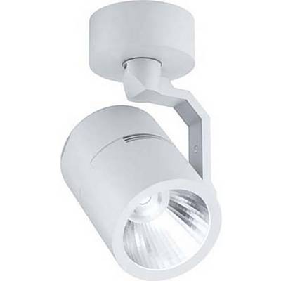 Weiße LED-Deckenleuchte in zylindrischer Form, geeignet für gezielte Beleuchtung in modernen Innenräumen.
