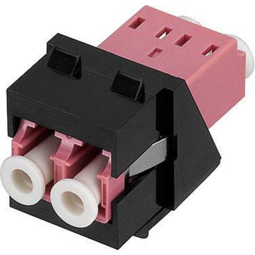 Rutenbeck 228090100 LWL-Modul Violett 1 St.