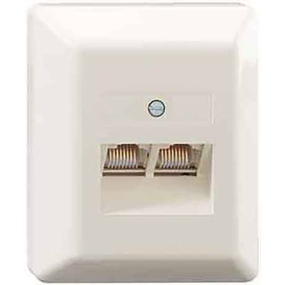 Eine beige Netzwerkdose mit zwei RJ45-Anschlüssen zur Wandmontage, geeignet für Ethernet-Kabelverbindungen.