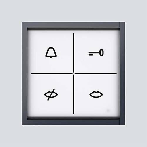 Siedle 210005001-00 Türsprechanlagen-Zubehör Funktionsmodul Grau