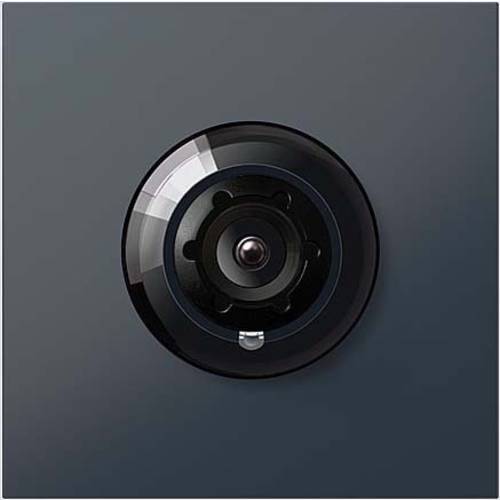 Siedle 210004896-02 Video-Türsprechanlage Funktionsmodul