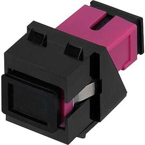 Rutenbeck 228090600 LWL-Modul Violett 1 St.