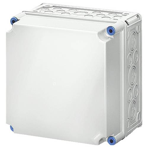 Hensel Mi 0211 2000009 Gehäuse 300 x 300 x 214 Kunststoff 1 St.
