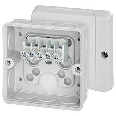 Weiße elektrische Anschlussdose mit offenem Deckel, zeigt mehrere Kabelklemmen für die Verbindung elektrischer Leitungen.