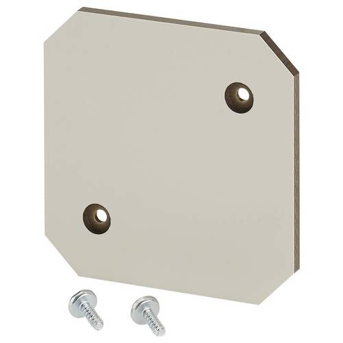 Hensel 62000256 Montageplatte 1 St.