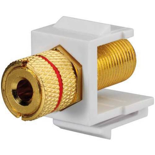 Thumbnail - Rutenbeck 17000608 Adapter Buchse, gerade 1 St.