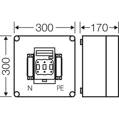 Schaltschema einer elektrotechnischen Komponente mit den Abmessungen 300 x 170 mm, Anschlüsse markiert mit 'N' und 'PE'.