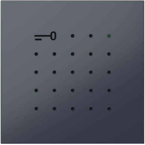 Siedle 210008426-00 Türsprechanlagen-Zubehör Funktionsmodul Anthrazit