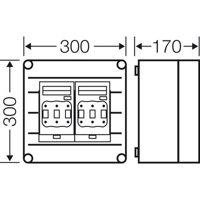 Technische Zeichnung eines rechteckigen Gehäuses mit zwei Steckdosen. Maße: 300 mm Höhe und Breite, 170 mm Tiefe.