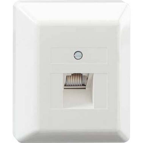 Rutenbeck Netzwerkdose Aufputz CAT 6 1 Port Weiß