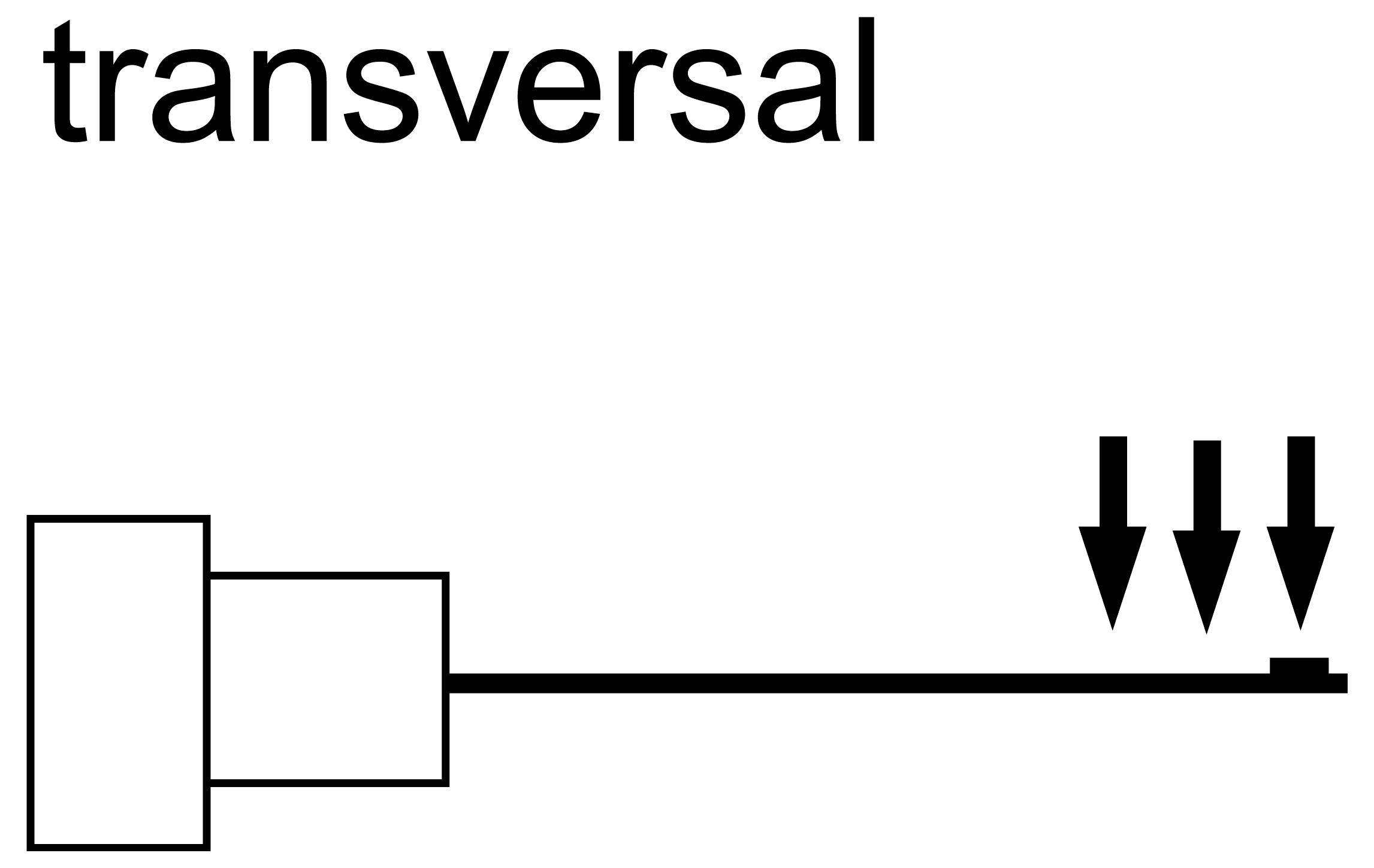 Diagramm mit der Bezeichnung „Transversale" zeigt eine horizontale Linie, die eine Form kreuzt, mit drei nach unten weisenden Pfeilen, die auf der rechten Seite auf die Linie zeigen.