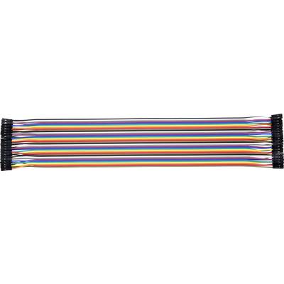 Mehrfarbige, parallele Jumper-Kabel mit Steckern an beiden Enden, üblicherweise für elektronische Projekte verwendet.