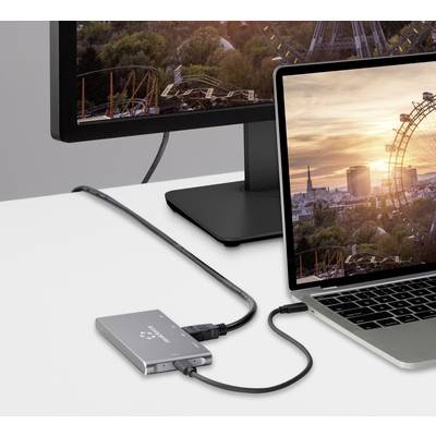 Ein Laptop und ein Monitor zeigen ein identisches Bild eines Riesenrads bei Sonnenuntergang. Ein externer Festplattenadapter ist angeschlossen.
