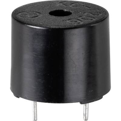 'Kleiner, schwarzer, zylindrischer Piezo-Summer mit zwei Metall-Pins für akustische Signalausgabe in elektronischen Geräten.'