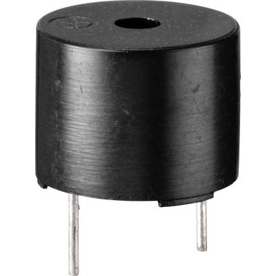 'Schwarzer Piezosummer mit zwei Metallpins an der Unterseite, zylindrische Form, dient zur Geräuschausgabe in elektronischen Geräten.'