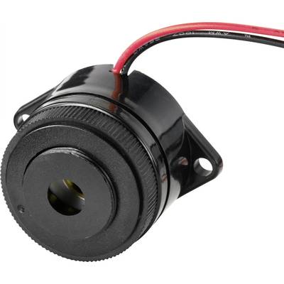Nahaufnahme eines schwarzen Mini-Lautsprechers mit zwei Anschlussdrähten, rotem und schwarzem, die aus der Oberseite herausragen. Geeignet für elektronische Anwendungen.