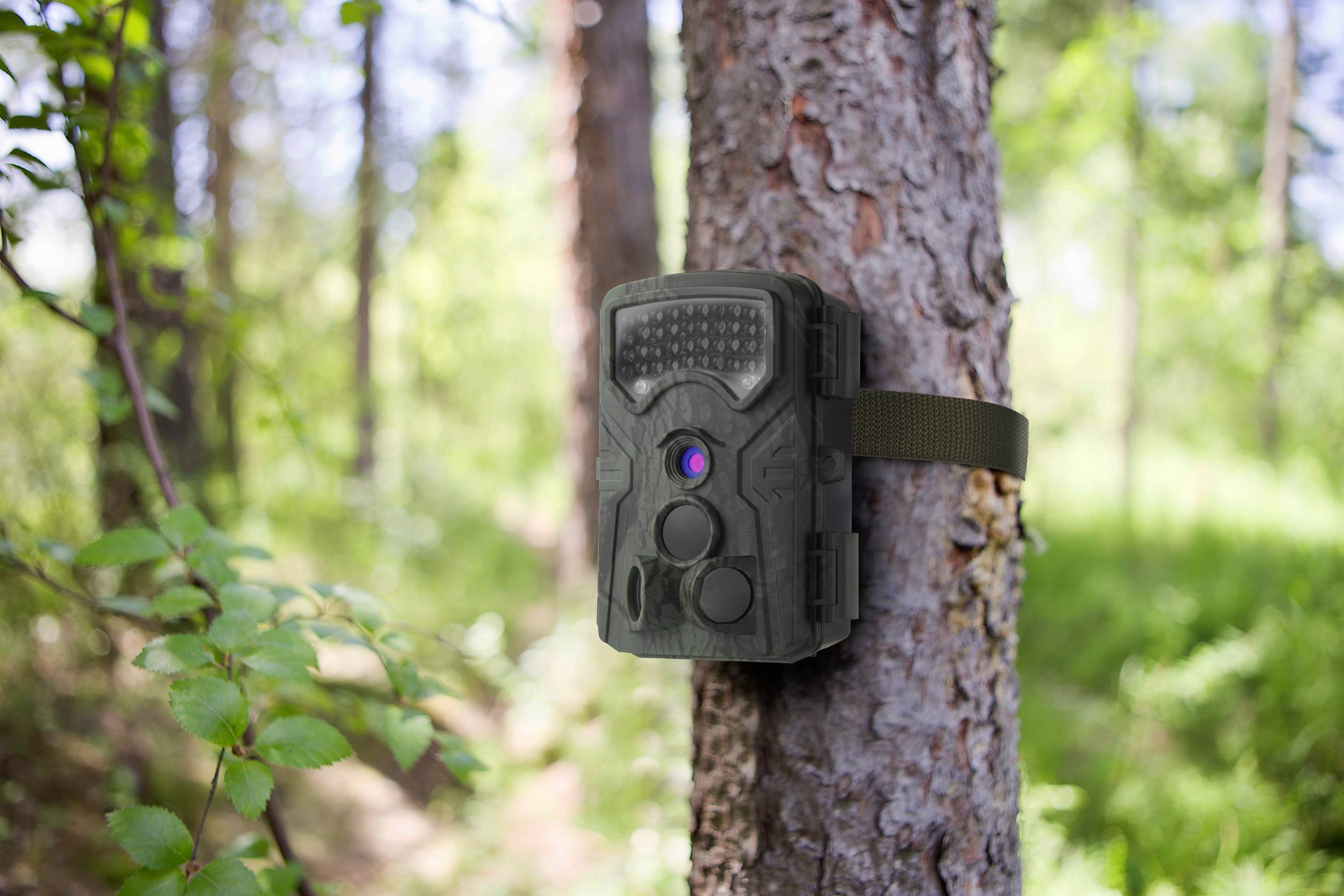 Renkforce RF-HC-550 Wildkamera 48 Megapixel Low-Glow-LEDs Standard-Grün (seidenmatt)-6