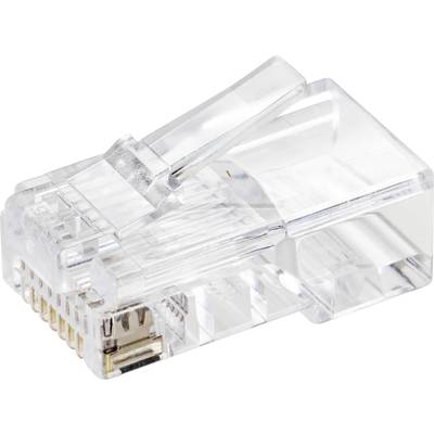 Ein transparenter RJ45-Stecker, verwendet für Netzwerkverbindungen, zeigt die Metallkontakte und den Kunststoffüberzug.