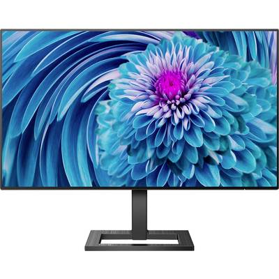 Ein Computerbildschirm zeigt eine Nahaufnahme von blauen und violetten Blumenblättern, die in Spiralform angeordnet sind.