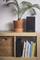 Ein Holzbücherregal mit einem geflochtenen Korb, Büchern und einer schwarzen Lautsprecherbox. Oben steht eine Palme in einem Tontopf.