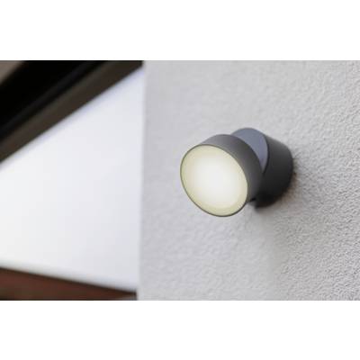 Lutec LED kaufen Anthrazit TRUMPET LED-Außenwandleuchte 8 5626101125 W