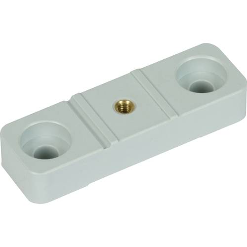 DEHN 308425 Schienenträger aus Kunststoff für eine isolierende Befestigung der Ankerschiene Montagezubehör 1 St.