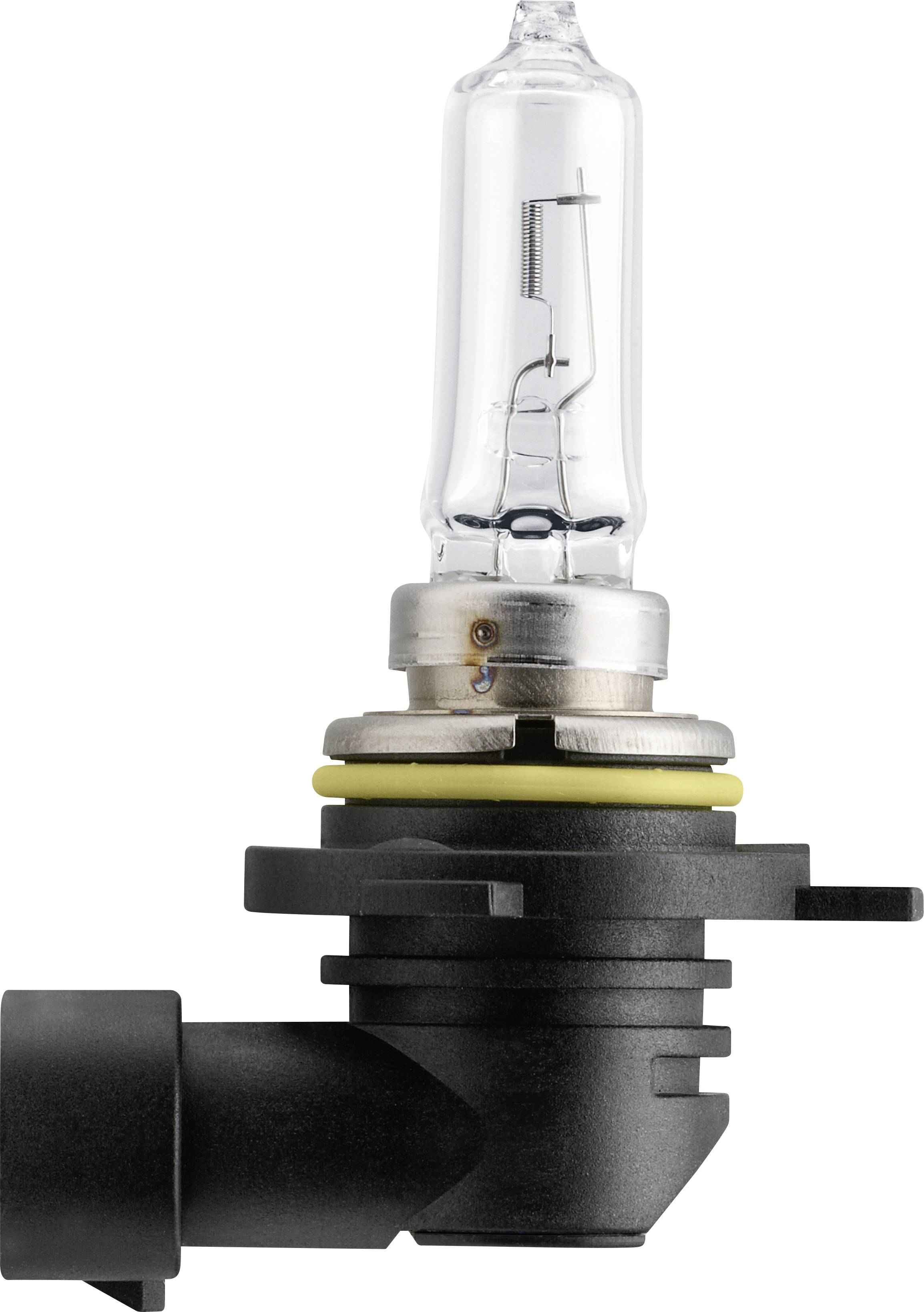 Eine Halogen-Glühbirne mit schwarzem Sockel.