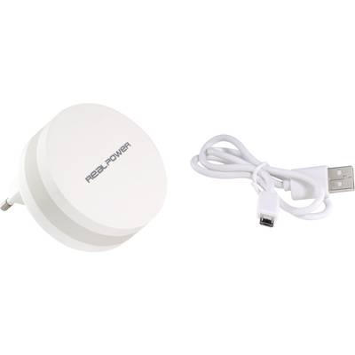 Weißes Steckernetzteil mit der Aufschrift 'RealPower' und ein dazugehöriges weißes USB-Kabel.