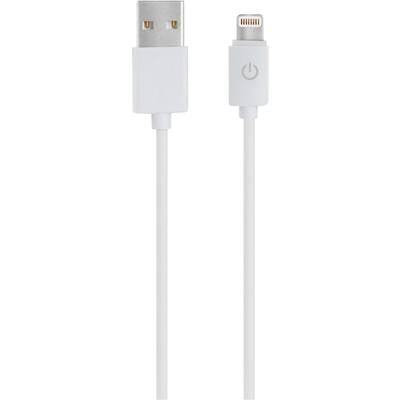 RealPower USB-Kabel USB 2.0 USB-A Stecker, Apple Lightning Stecker 1.00 m Weiß  255649