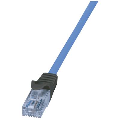 Ein blaues Ethernet-Kabel mit einem transparenten RJ45-Stecker.