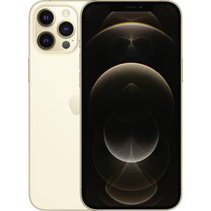 Apple Iphone 12 Pro Max Gold 512 Gb 6 7 Zoll 17 Cm Dual Sim Ios 14 12 Megapixel Kaufen